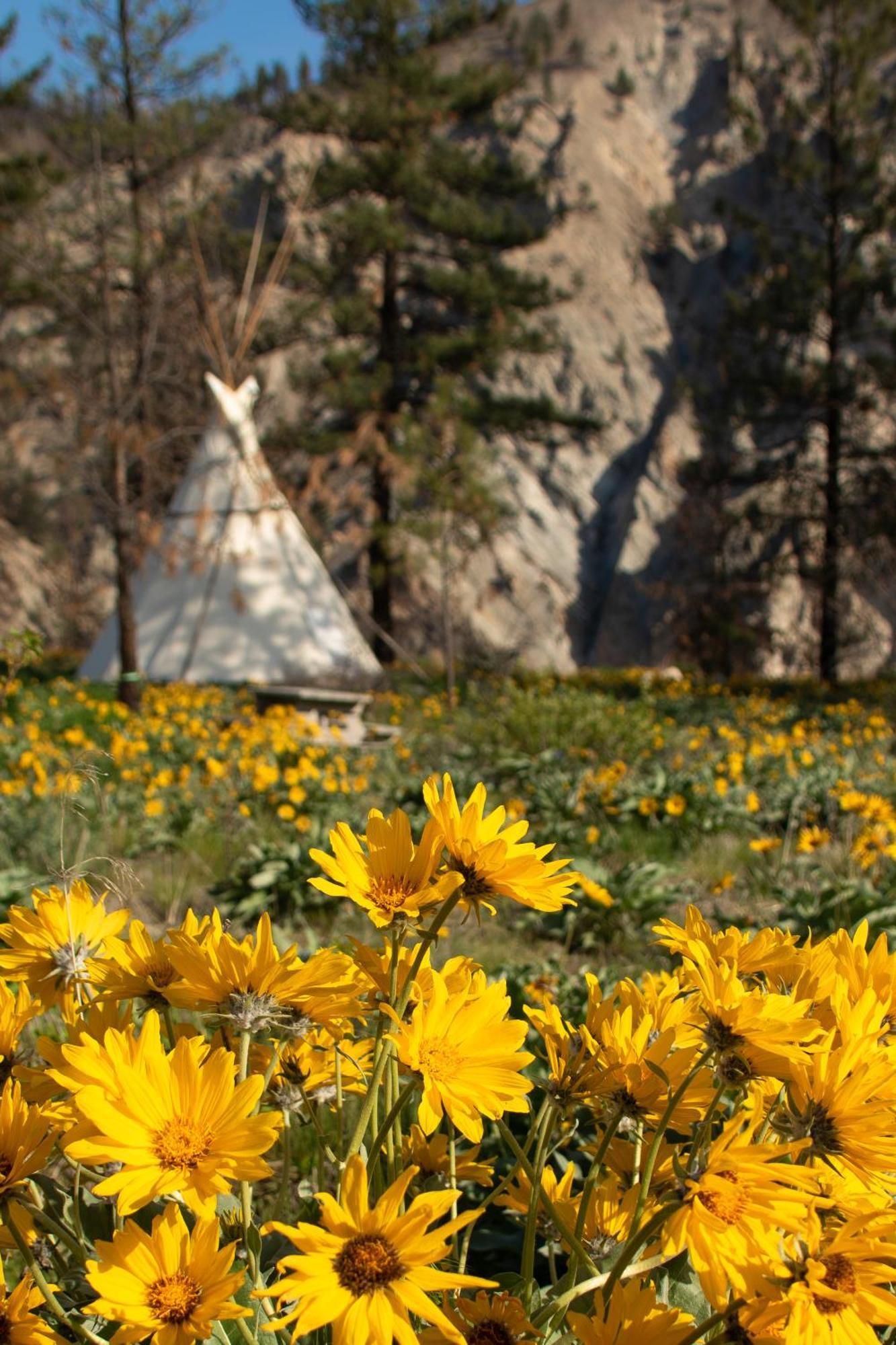 Kumsheen Rafting Resort Lytton Esterno foto