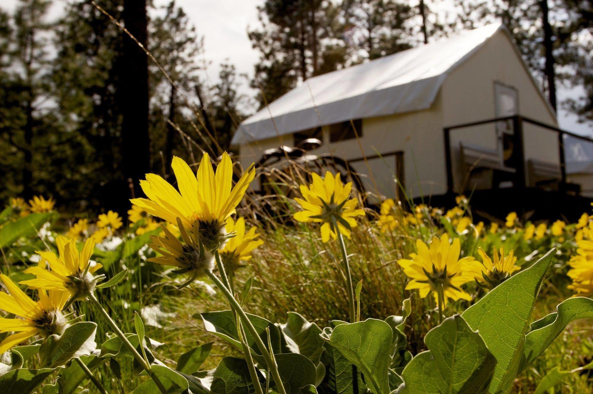 Kumsheen Rafting Resort Lytton Esterno foto
